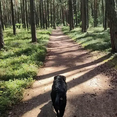 Сasa de vacaciones Morski Szum Naturalnietu