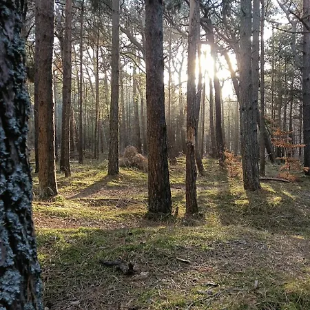 Сasa de vacaciones Morski Szum Naturalnietu