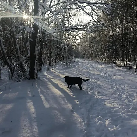 Morski Szum Naturalnietu * Rowy (Pomerania)